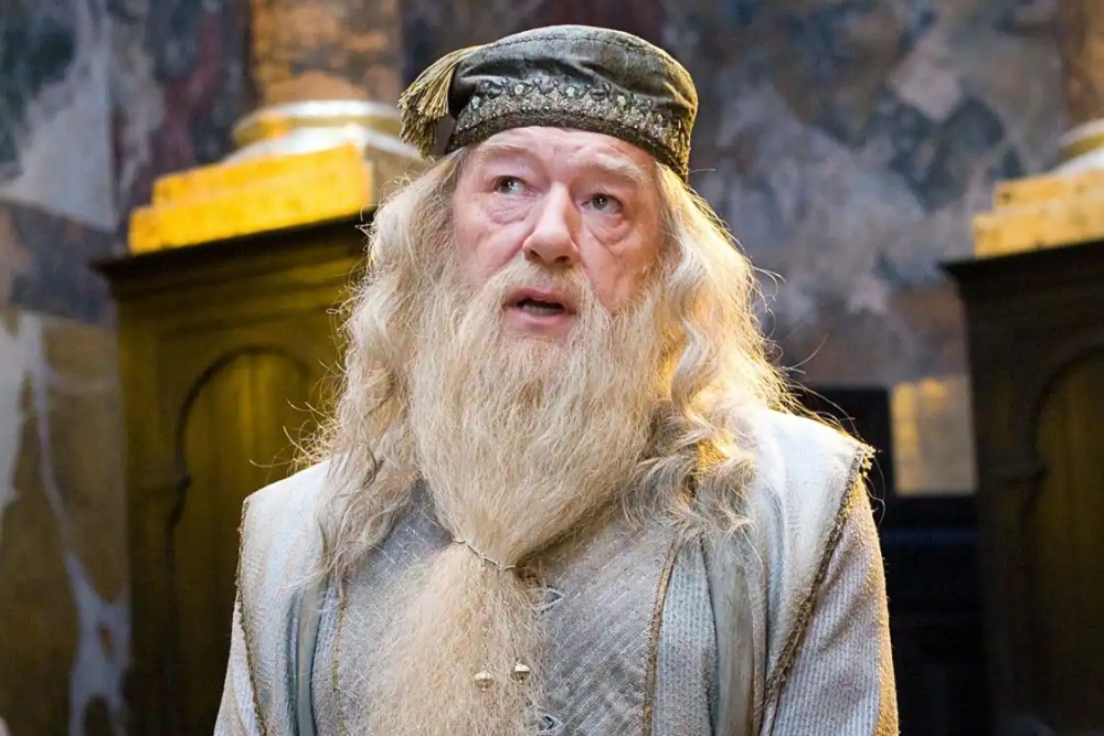 was dumbledore gay