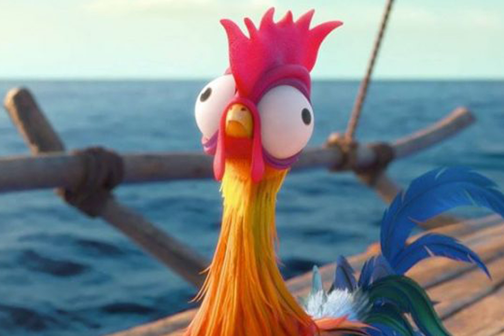 chicken from moana chicken from moana