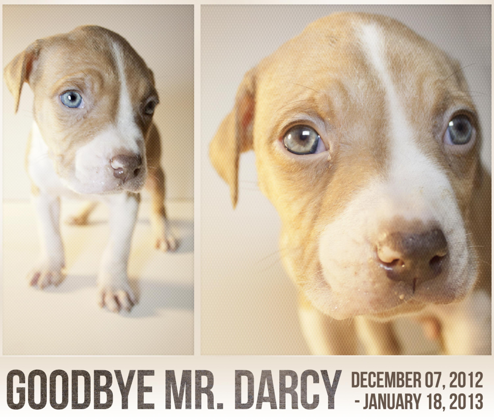 Pima Pain Center: Comprehensive Pain Management Services