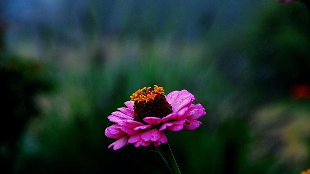 Discover the Impact of Steven Nguyen: A Leader in Innovation