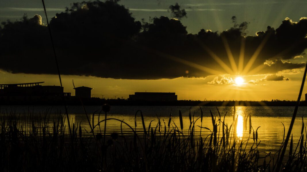 Nemours Lake Nona: Facilities, Services, and Location