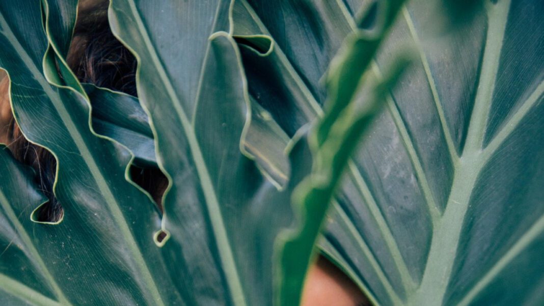 Visionary Care at Laurel Eye Clinic: Your Sight Matters