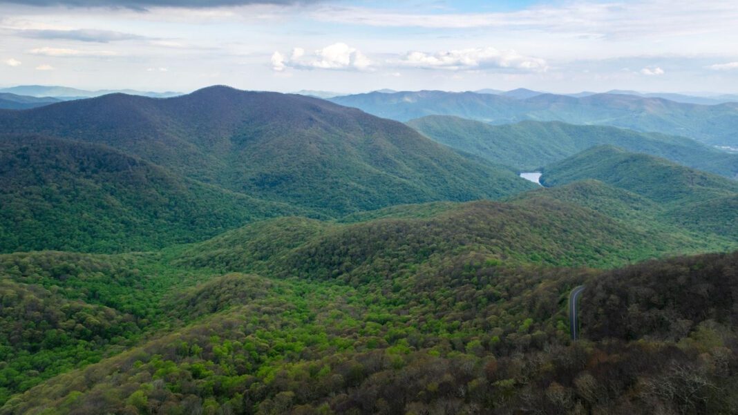 Unlocking Asheville’s Neurology Secrets for Optimal Health