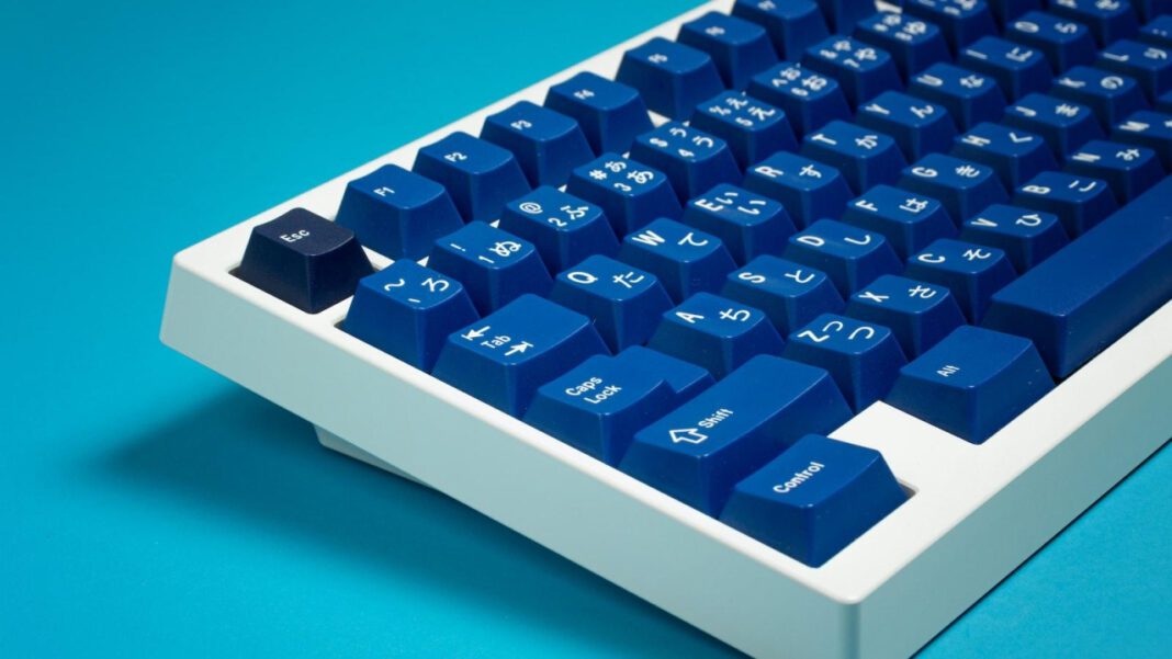 Discover The Fascinating History of Baloo the Bear