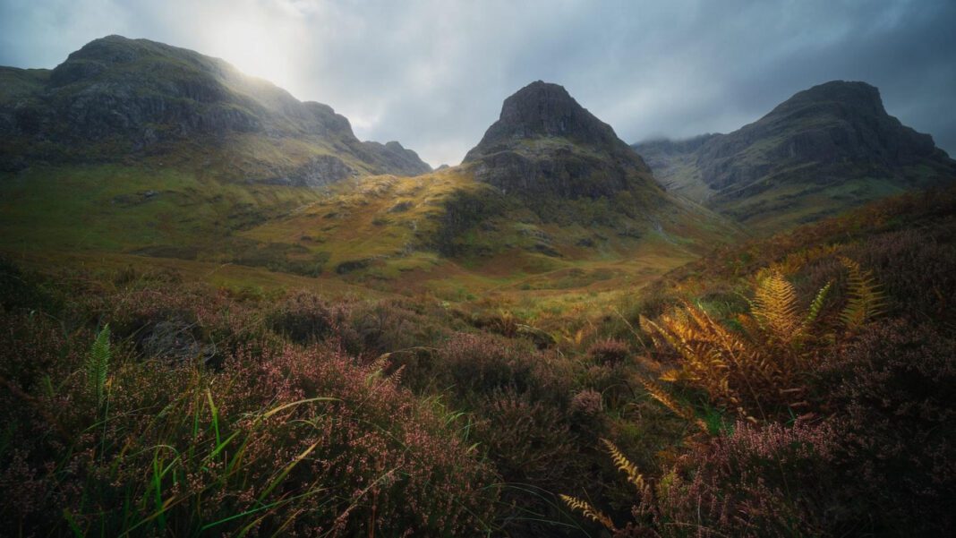 Bian Tianyang: A Rising Star in the Art World