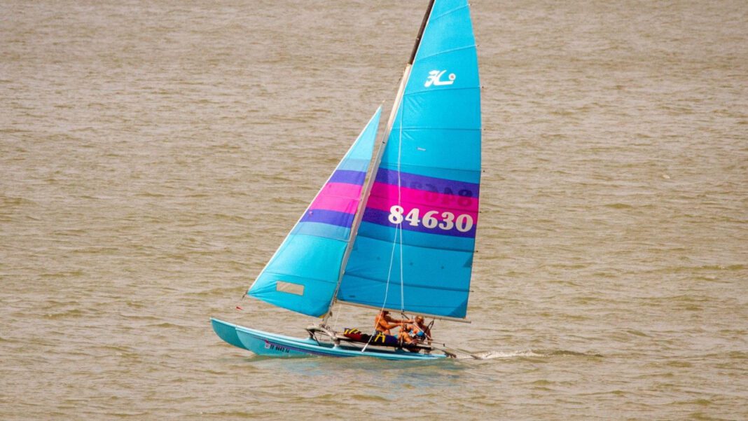 Alison Mathis: The Untold Story of an Enigma