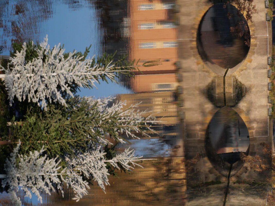 The Chilling Case of Catherine Jones’ Murder