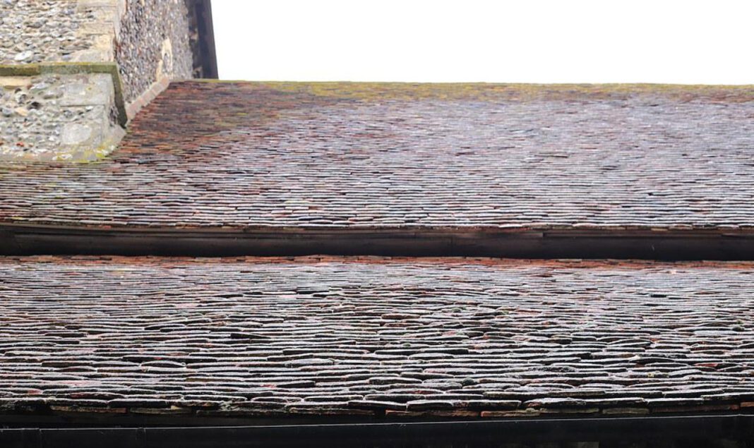 Capturing the King Family Legacy: Rare Photos