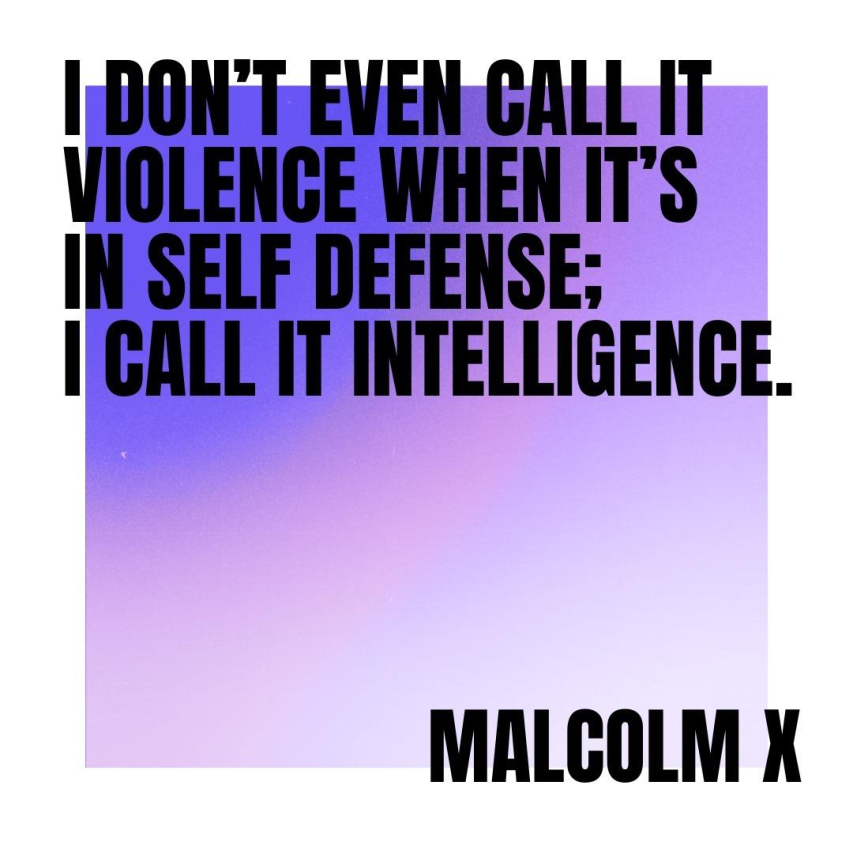 Malcolm X’s Views on Media Power and Influence