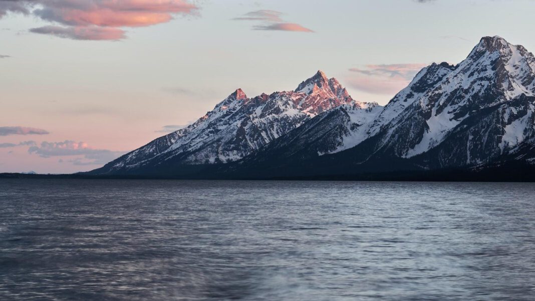 Michael Jackson and Miki Howard: A Musical Bond