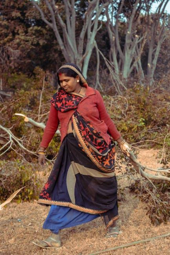 Larry Scirotto: College Career Overview