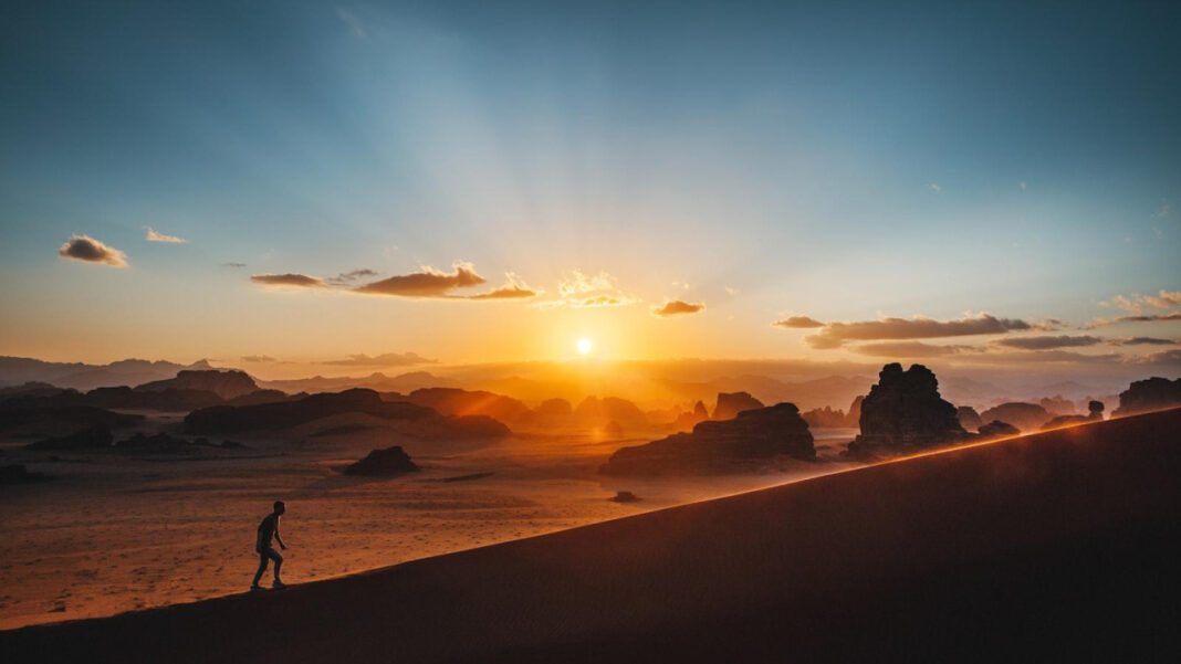 Exploring Carls Meat Market