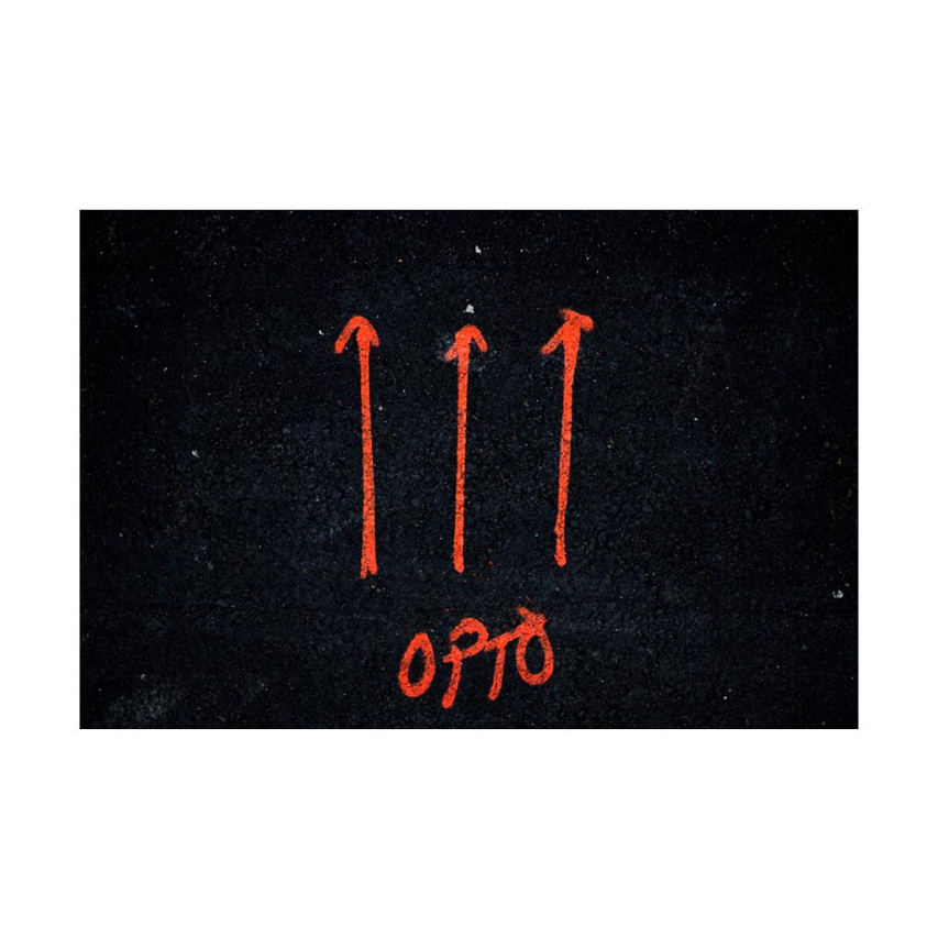 Exploring Blonde Animals: A Natural Phenomenon