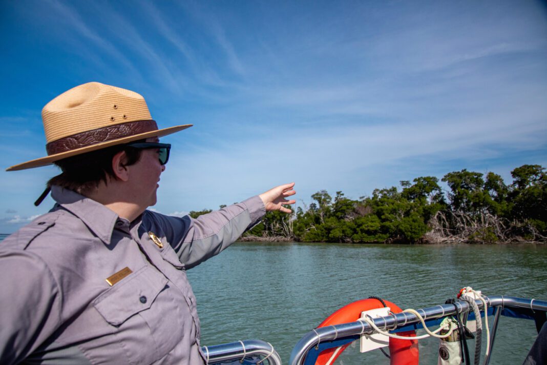 Exploring Different Rind Snacks