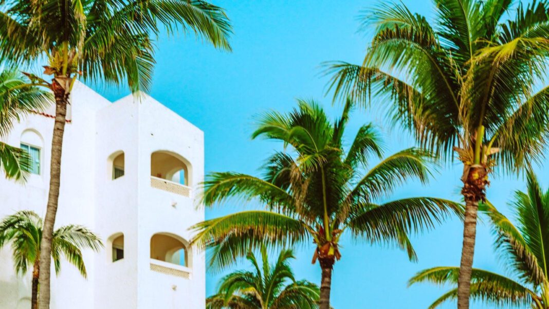 Understanding Tropicana Orange Juice Ingredients