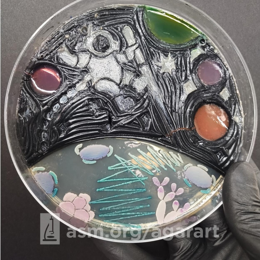 Comparing Pectin and Gelatin: A Comprehensive Analysis