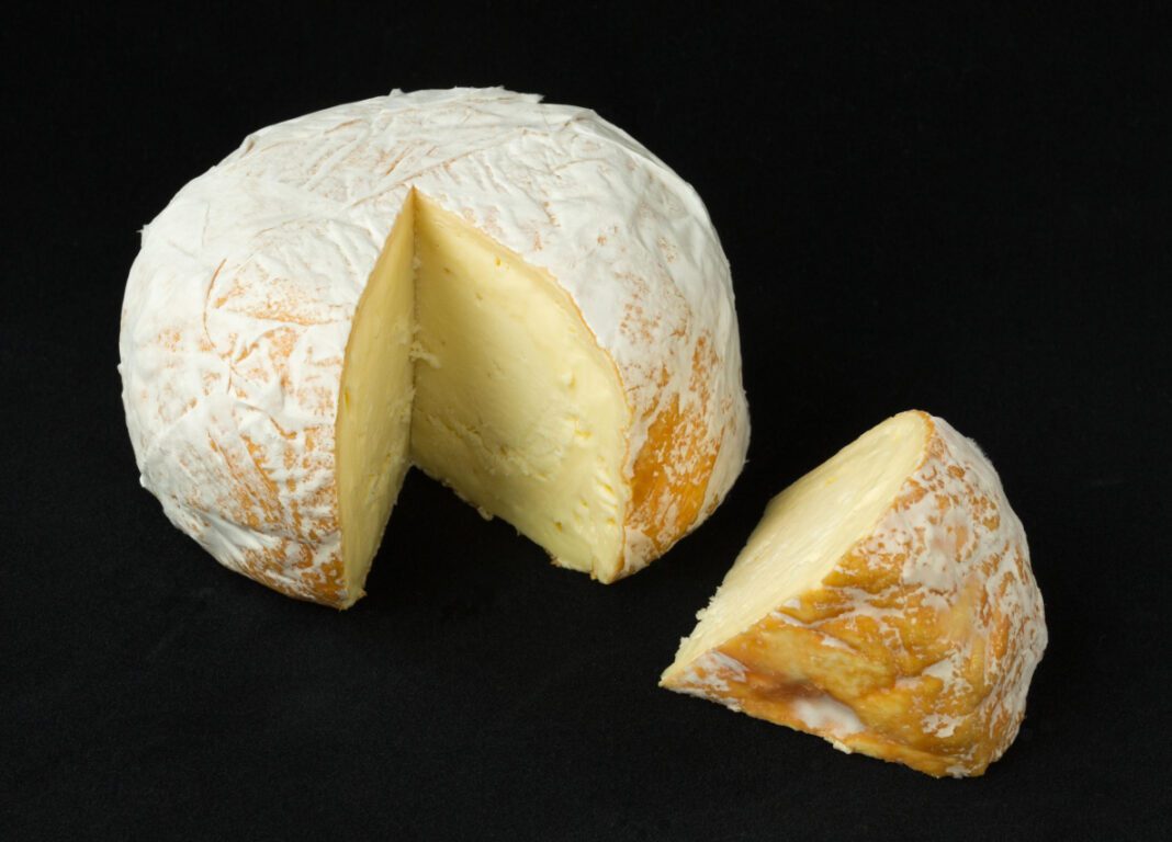 Exploring the World of Cheese GIFs