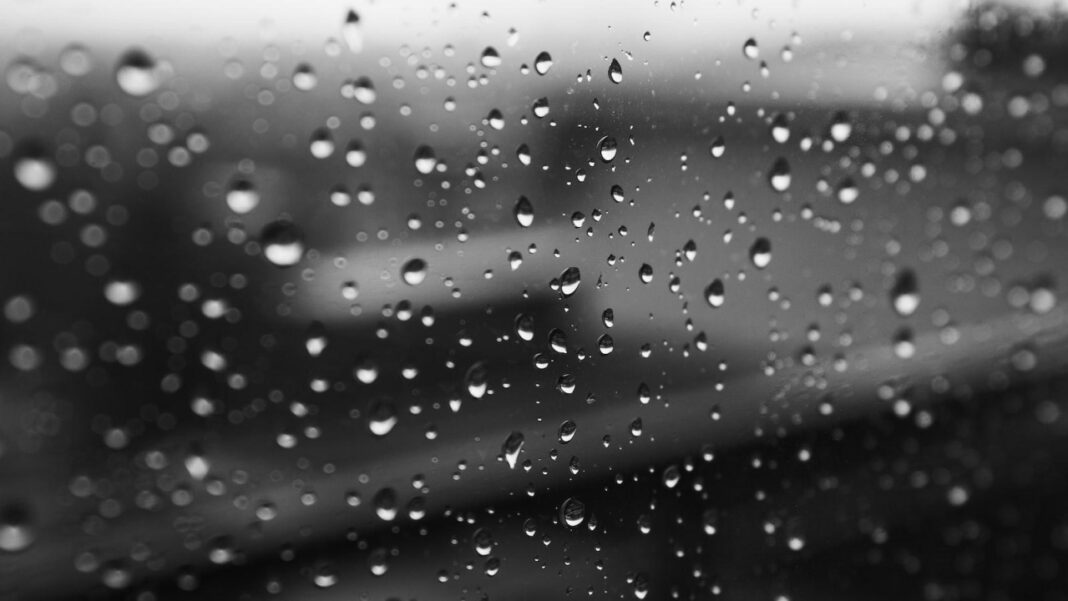 Exploring Rain Pryor’s Husband: A Brief Overview