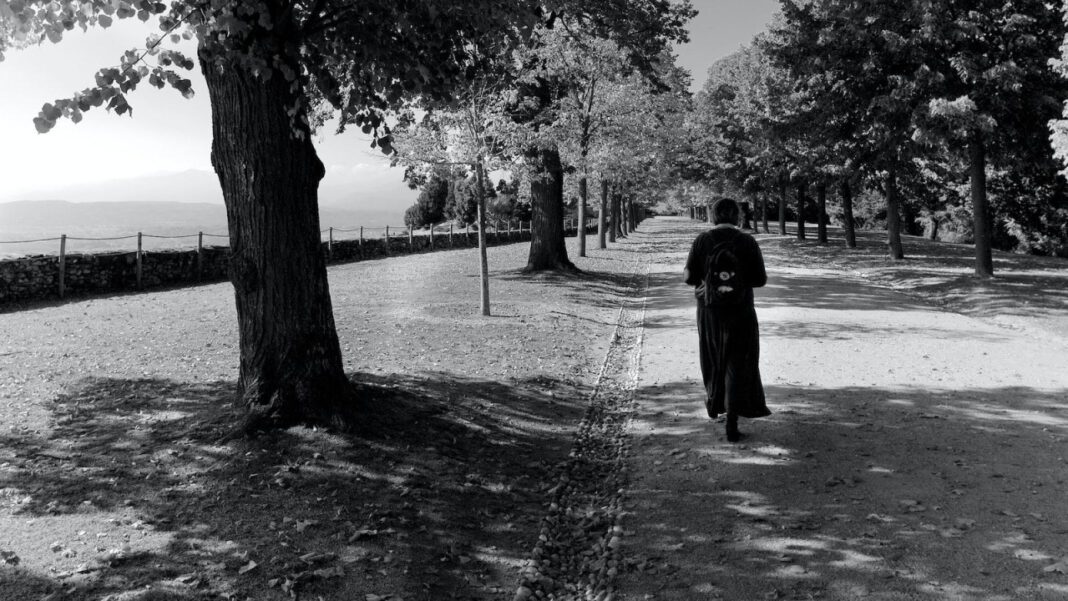 Piedmont Orthopedics: Expert Care for Musculoskeletal Health