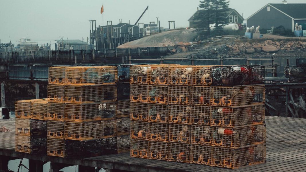 Exploring the Career of Jennifer Beals: From Flashdance to The L Word