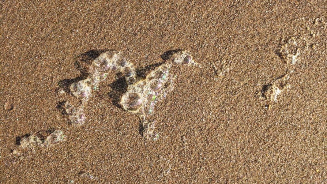 Discovering Cyrus Howell: A Closer Look at His Life and Achievements