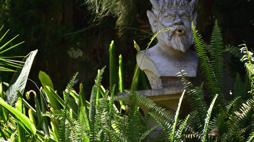 Bubly: Everything You Need to Know About the Sparkling Water Brand