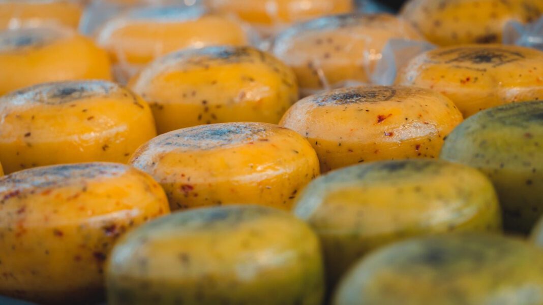 The Ultimate Guide to Miyoko’s Cheese: Varieties, Ingredients & More