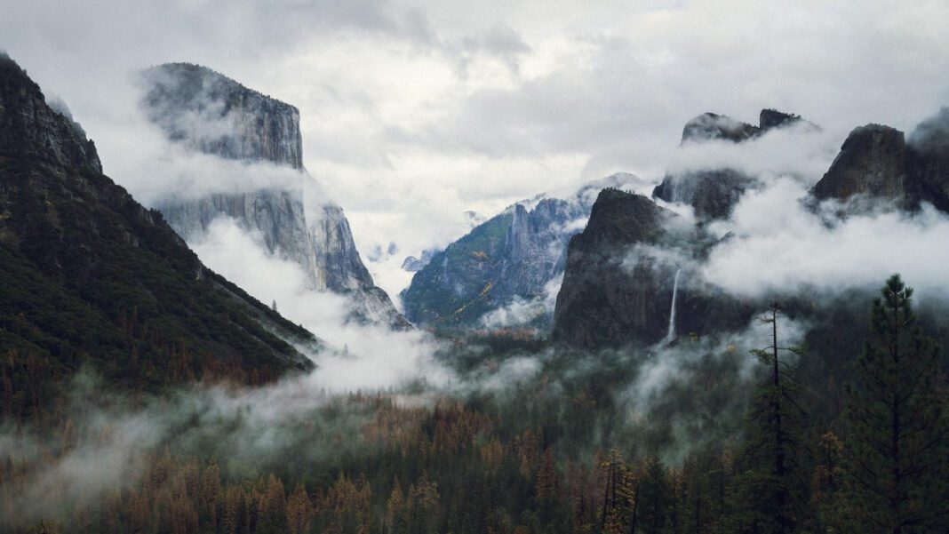 Everything You Need to Know About Cierra Mist: Ingredients, Flavors, and More