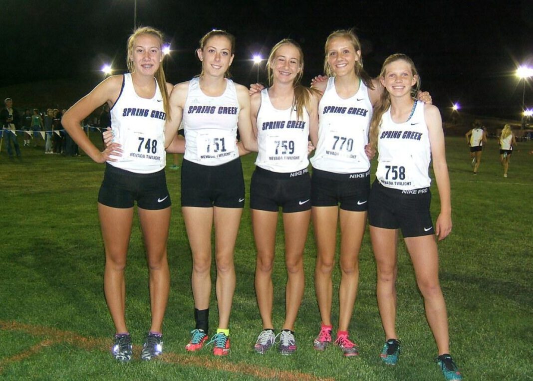 Discover the Delicious and Nutritious Natures Bakery Fig Bars