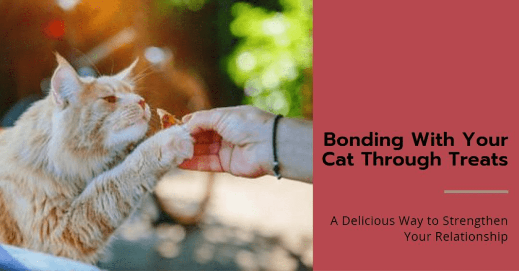 Discover the Health Benefits of Silk Oat Milk