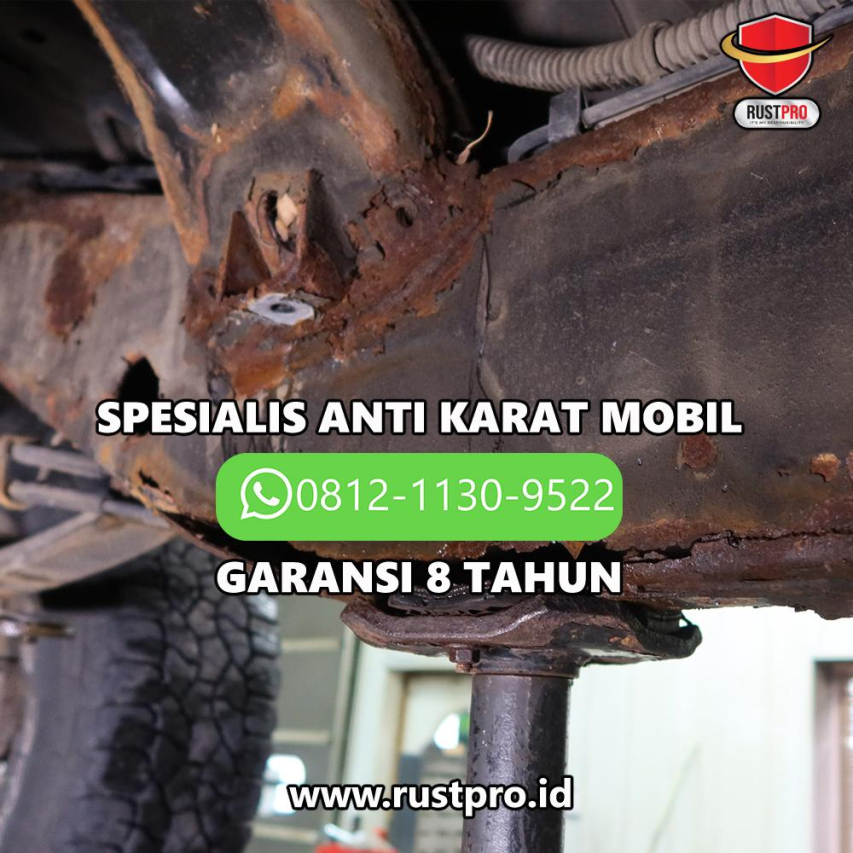 The Rise and Career of Dan Cortez: A Complete Guide