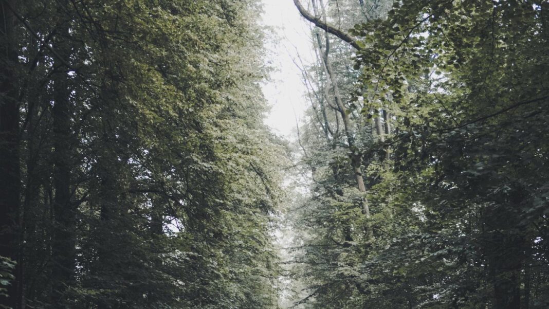 Understanding and Relieving Ear Popping: Causes and Remedies