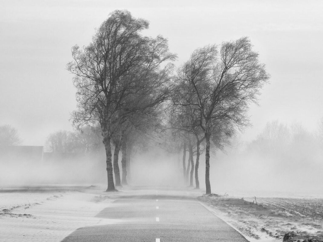 Cold or Allergies? Take Our Quiz to Find Out!