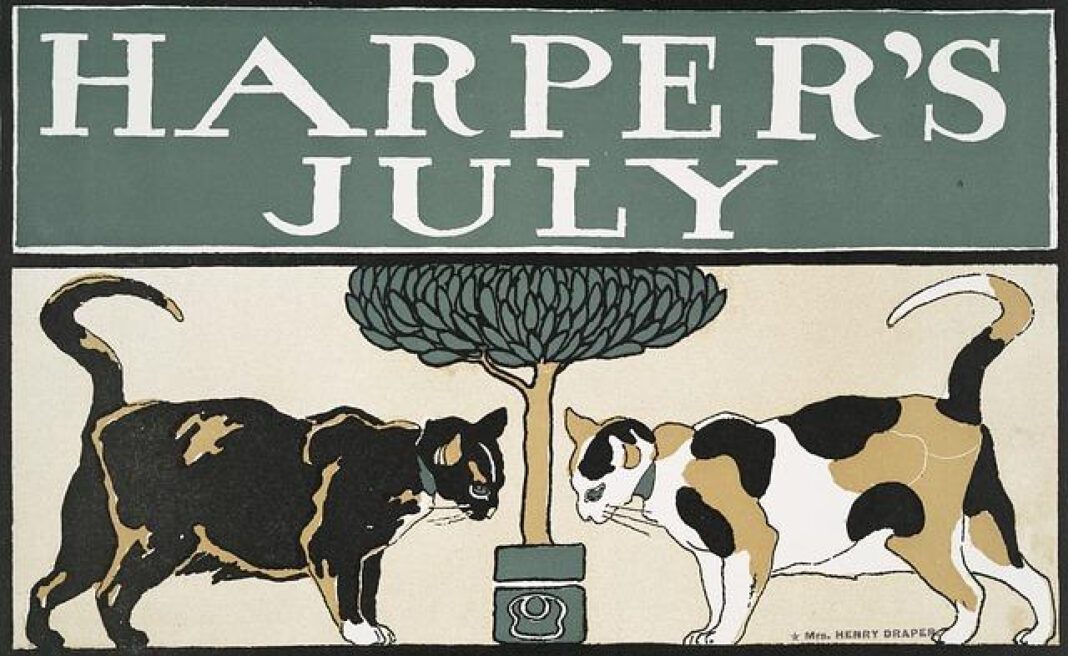 Meet Julie Harper: A Rising Star in Business World