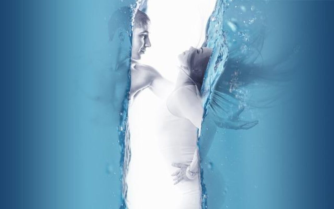 Understanding the Male to Female Transition Process