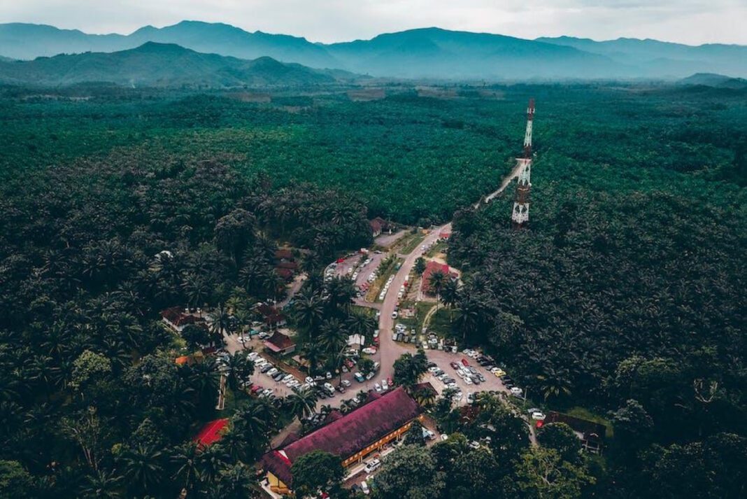 The Healing Wisdom of Dr. Robert Morse: A Comprehensive Overview