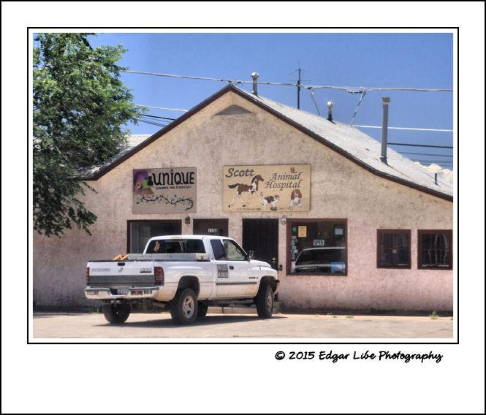 Discover Winslow Animal Hospital: Quality Care for Your Pet