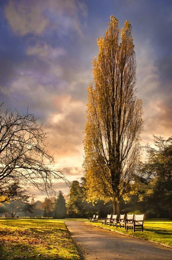 Understanding West Chester GI: Services, Specialists, and More