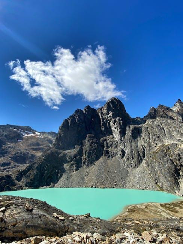 Camila Guiribitey: Rising Star in the Art World