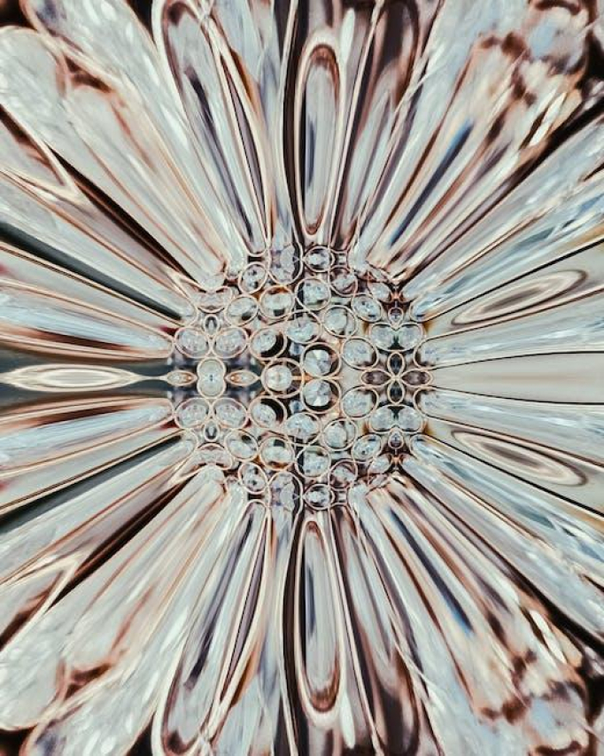 Who is Angela Chao? Learn more about her background and career