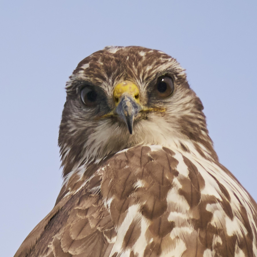 Michaels Las Vegas: Your Go-To Craft Store!