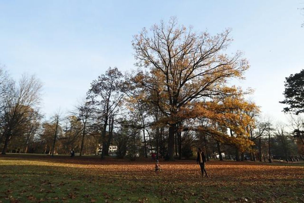 Explore the Beauty of Eugene Park: A Hidden Gem