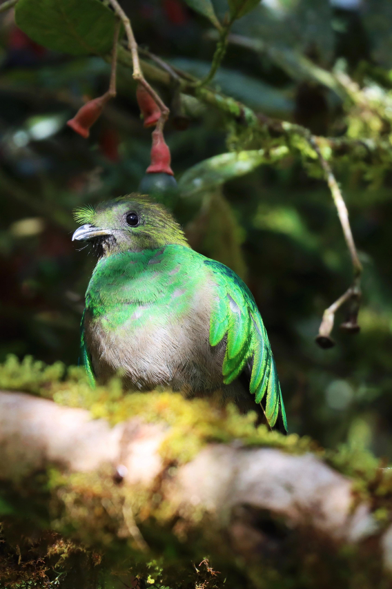 Eugene Park: Unveiling Its Natural Beauty & Charm