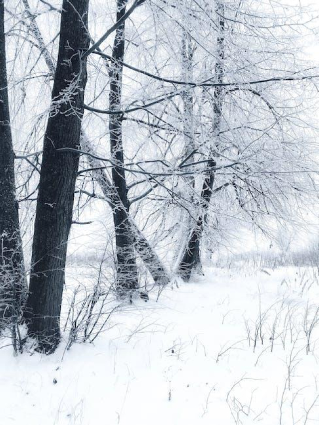 Lisa Winters: The Rising Star in Entertainment