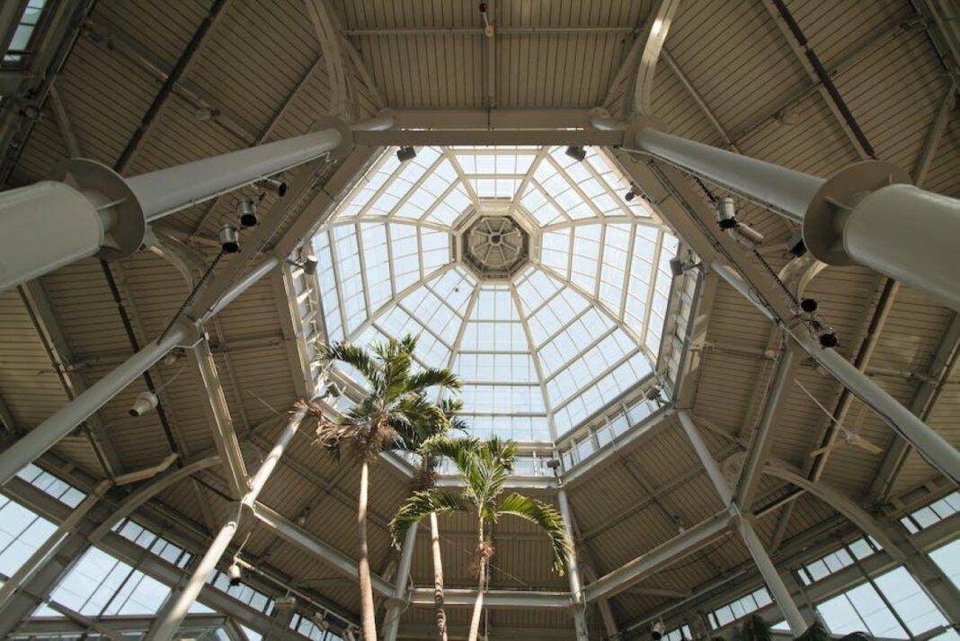 Gretchen Lewis: Accomplished Artist and Innovator