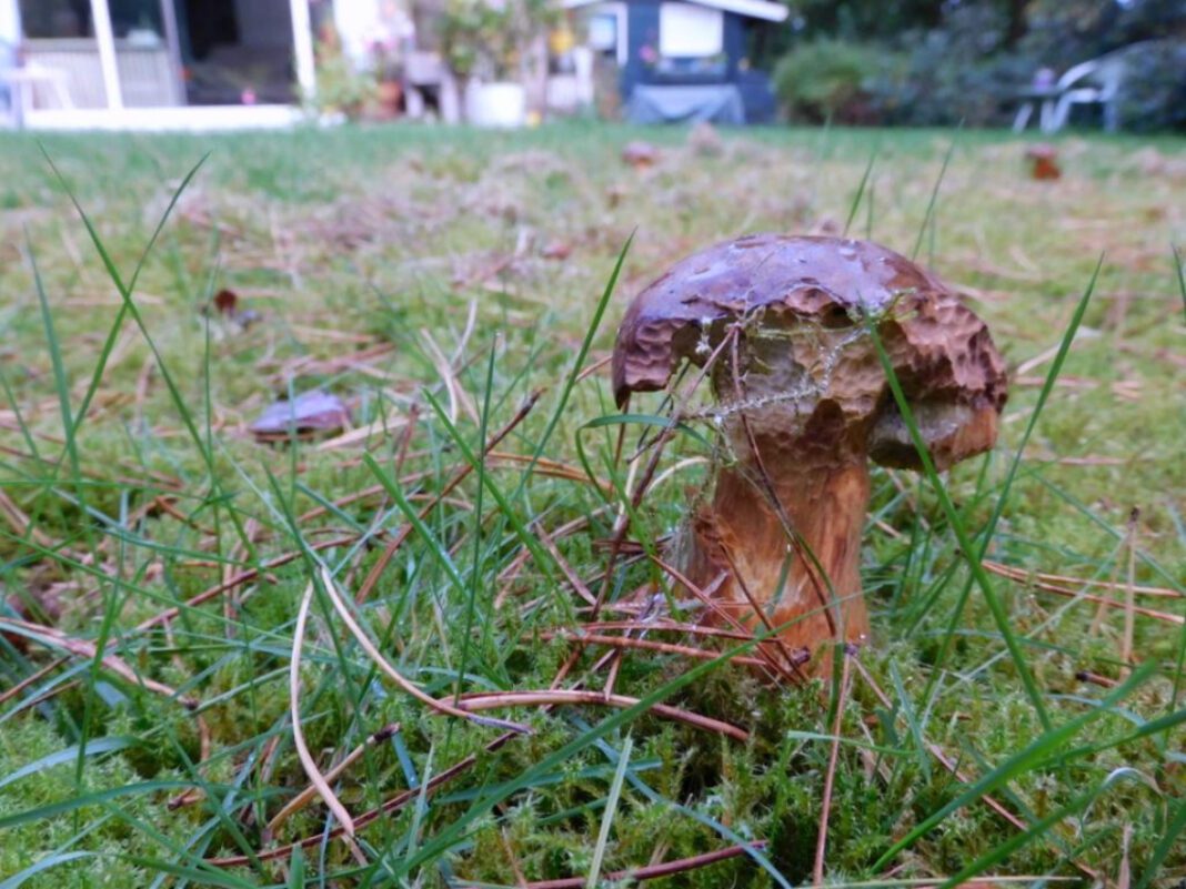 Understanding CEP America: Services, Locations, and Expertise