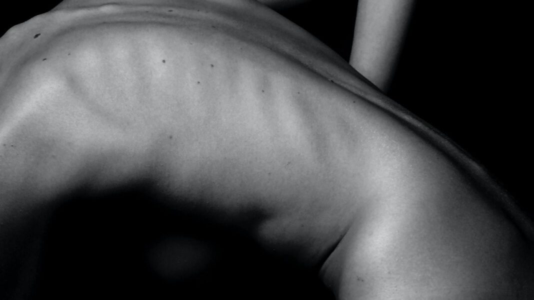Finding the Best Chiropractors in Mount Pleasant: Your Comprehensive Guide