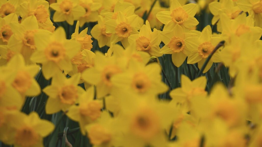 Discover Cleveland Clinic Endocrinology: Top Care for Hormonal Health