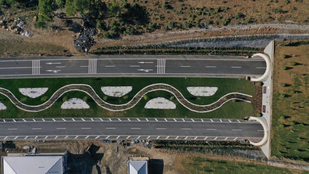 Troy Scribner: Pitcher’s Stats, Team History, and Performance