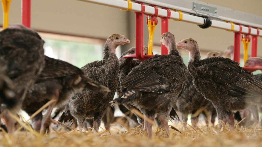 Kathryn Kelly: Unveiling the Enigmatic Life Story